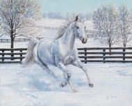 Snow Angel